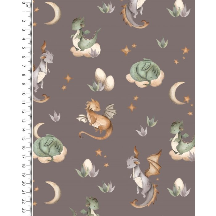 French Terry Digital Little Dragon 5902