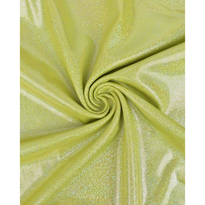 Holographic Lamé Jersey 6095