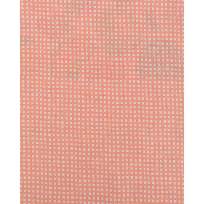 Poplin Organic Check 90096