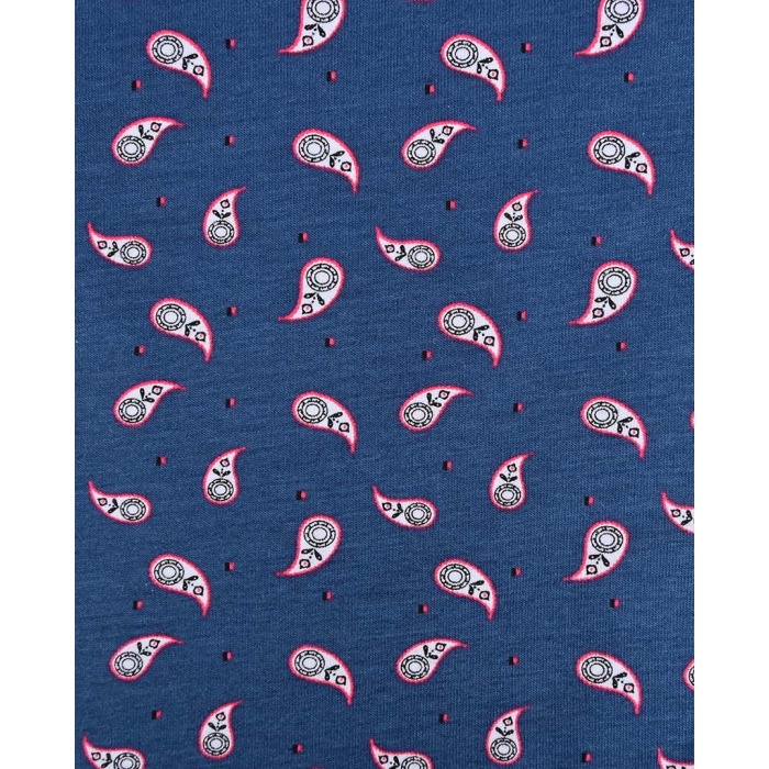 Jersey Paisley 90239