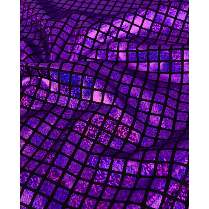 Check Hologram Foil 5658