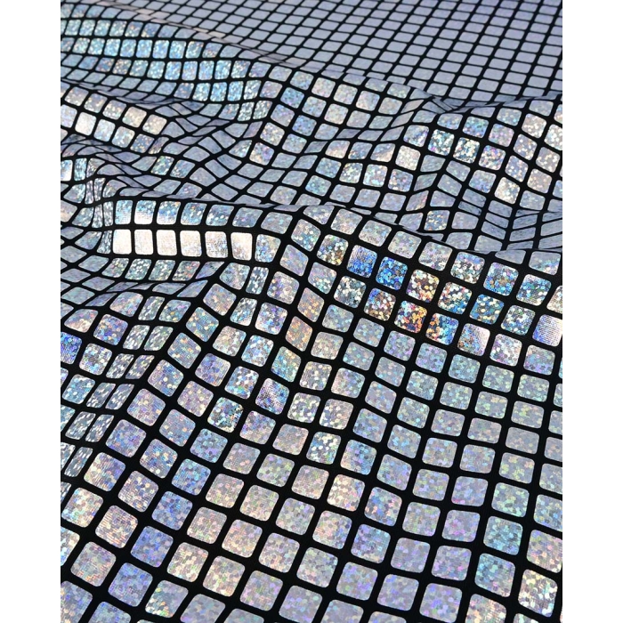Check Hologram Foil 5658
