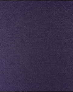 Shining Jersey-9960