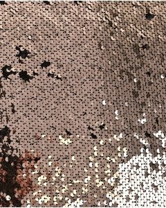Sequin Shiny 5661