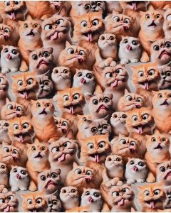 Jersey Digital Funny Cats 5924