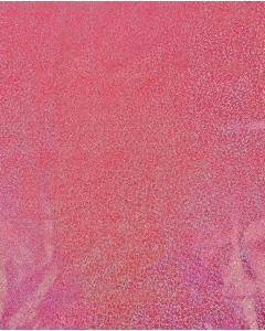 Holographic Lamé Jersey 6095