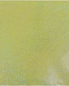 Holographic Lamé Jersey 6095