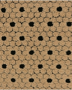 Teddy Flowers 6192