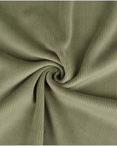 Corduroy Bounded 8W 6220