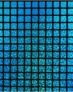 Check Hologram Foil 5658