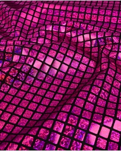 Check Hologram Foil 5658