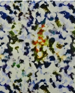 Stretch Corduroy Paint Splatters 6105