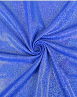 Holographic Lamé Jersey 6095