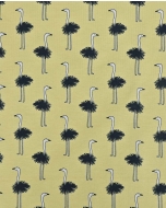 Jersey Ostrich 90245